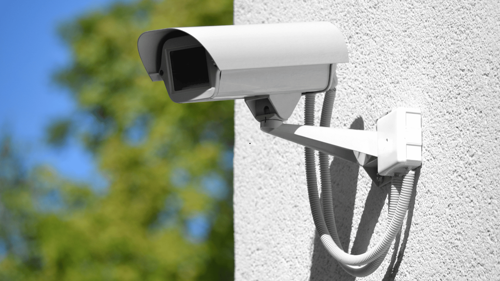 Security Cameras and Video Doorbells
