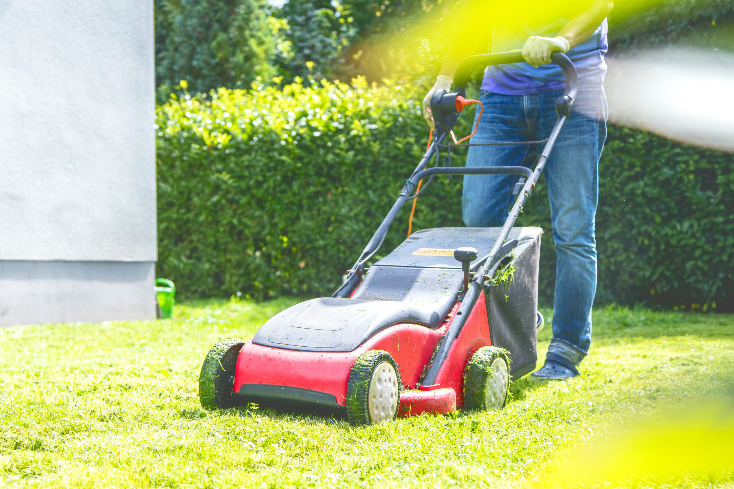 7 Essential Yard Work Hacks: Expert Tips for a Lush, Healthy Lawn and ...