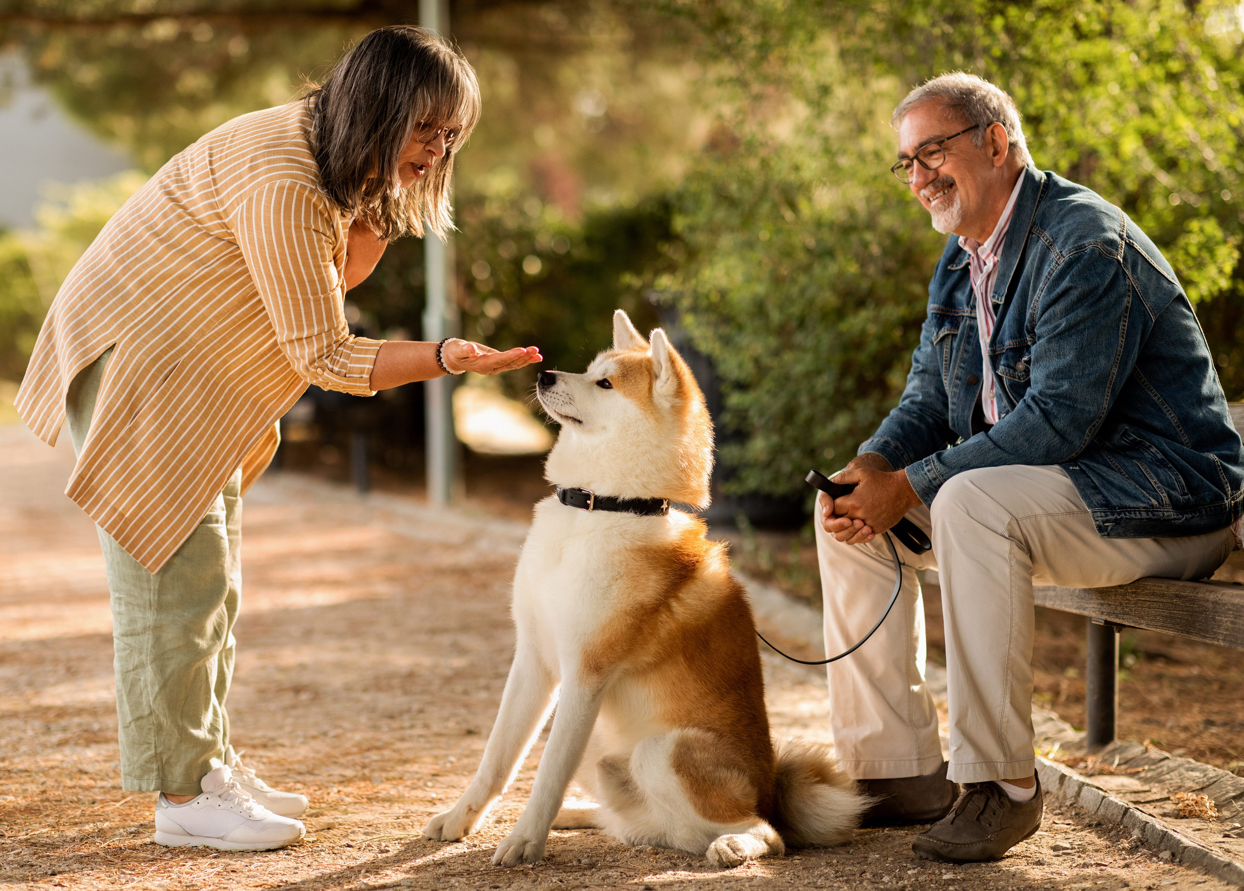 relationship with dogs