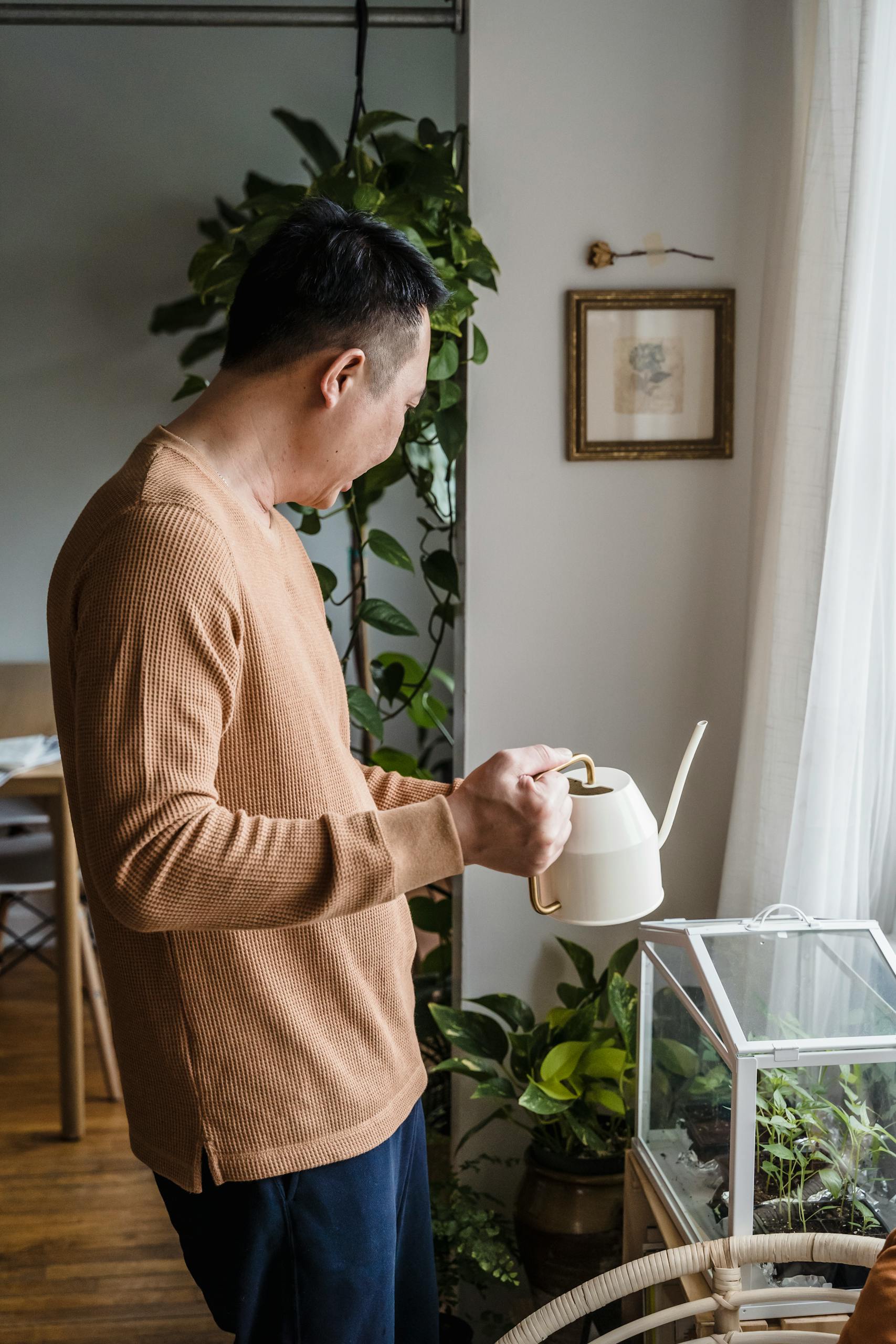 Man in a cozy apartment watering indoor plants by the window, creating a calm and natural atmosphere.