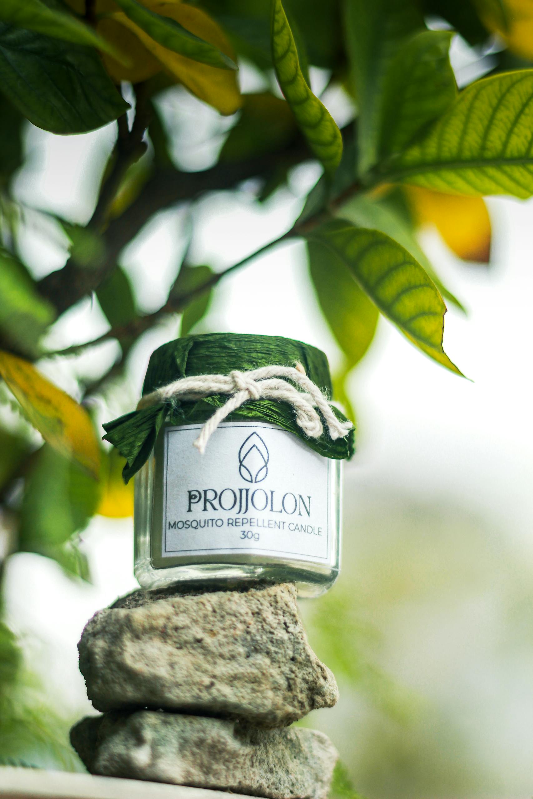 Projjolon mosquito repellent candle on stacked stones with lush green background. Eco-friendly and organic.