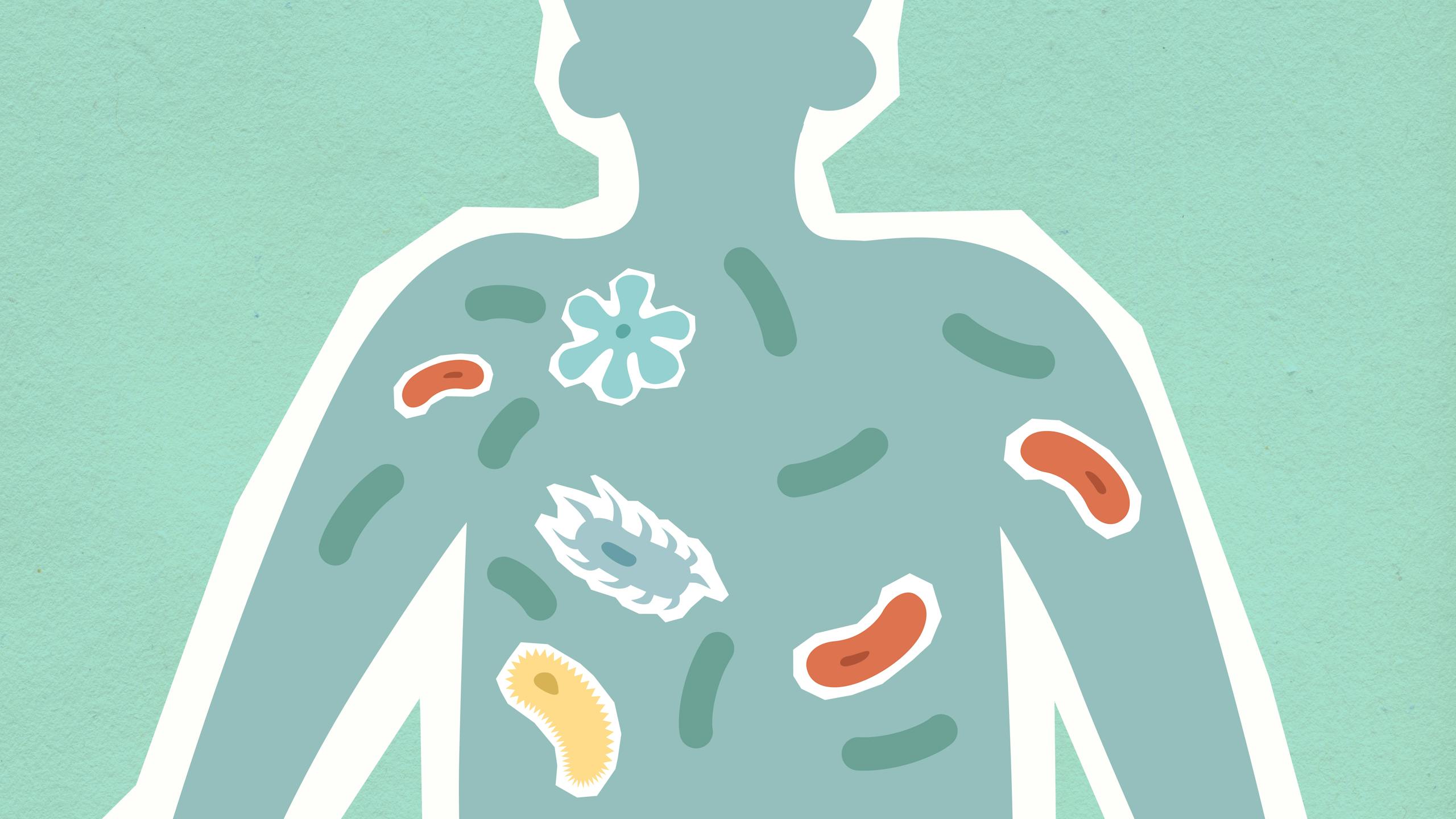 Top view of decorative cardboard appliques of human figure with different bacteria in body on green background