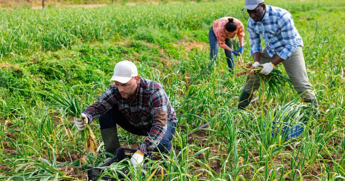9 Things Only People Who Grew Up on a Farm Understand