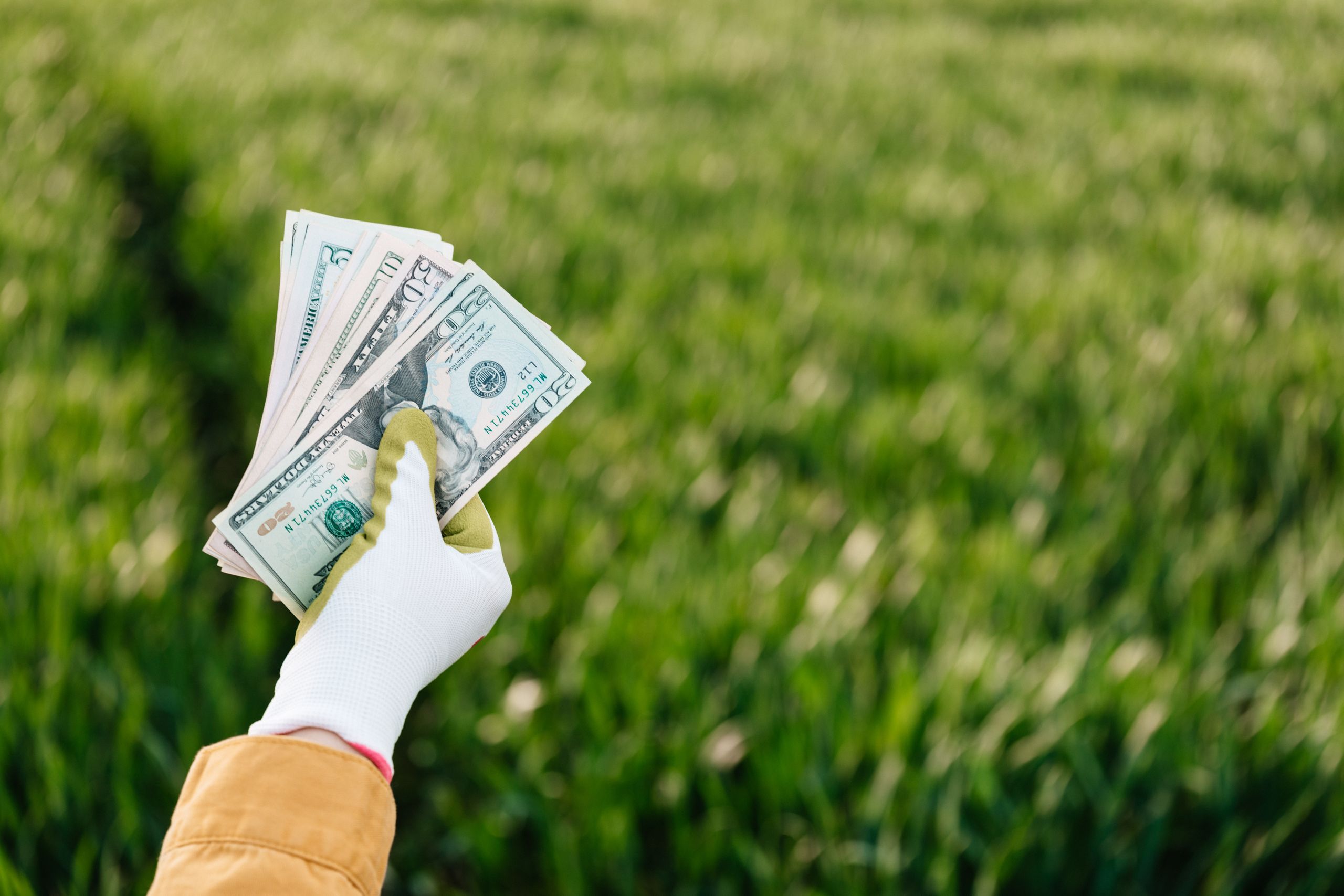 Crop unrecognizable grower in garden glove holding pile of various American dollar bills with numbers and image of person on blurred background in sunlight