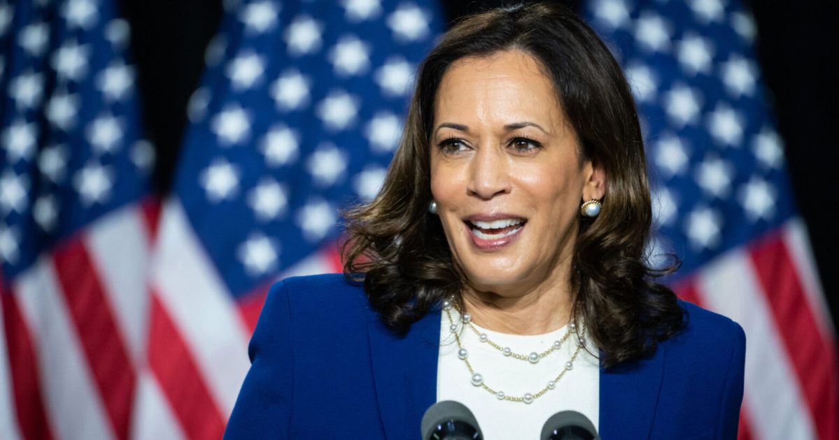 ICE suspends most vehicle stops after fatal Maine shooting as Kamala Harris demands investigation