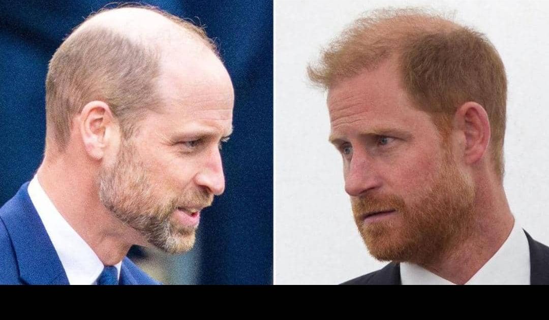 Harry’s Royal Reunion Leaves William Rift Unchanged