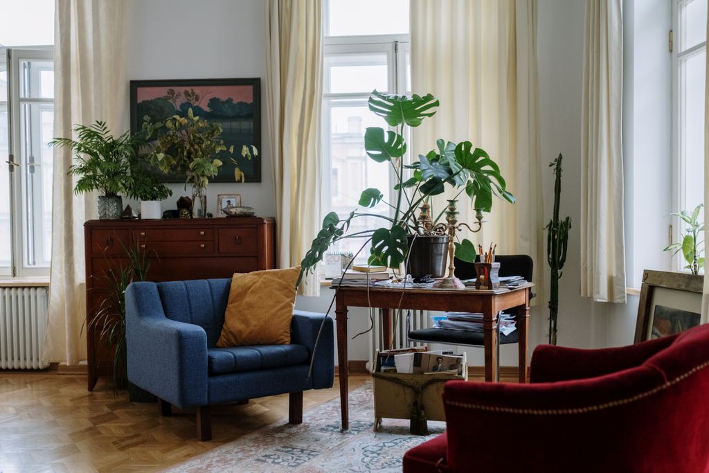 A cozy living room featuring indoor plants, vintage furniture, and natural light.