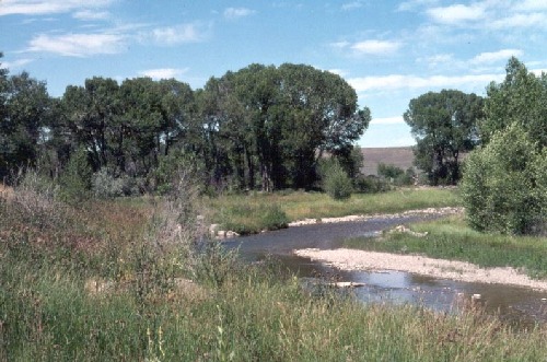 Elk Creek near Haystack Butte