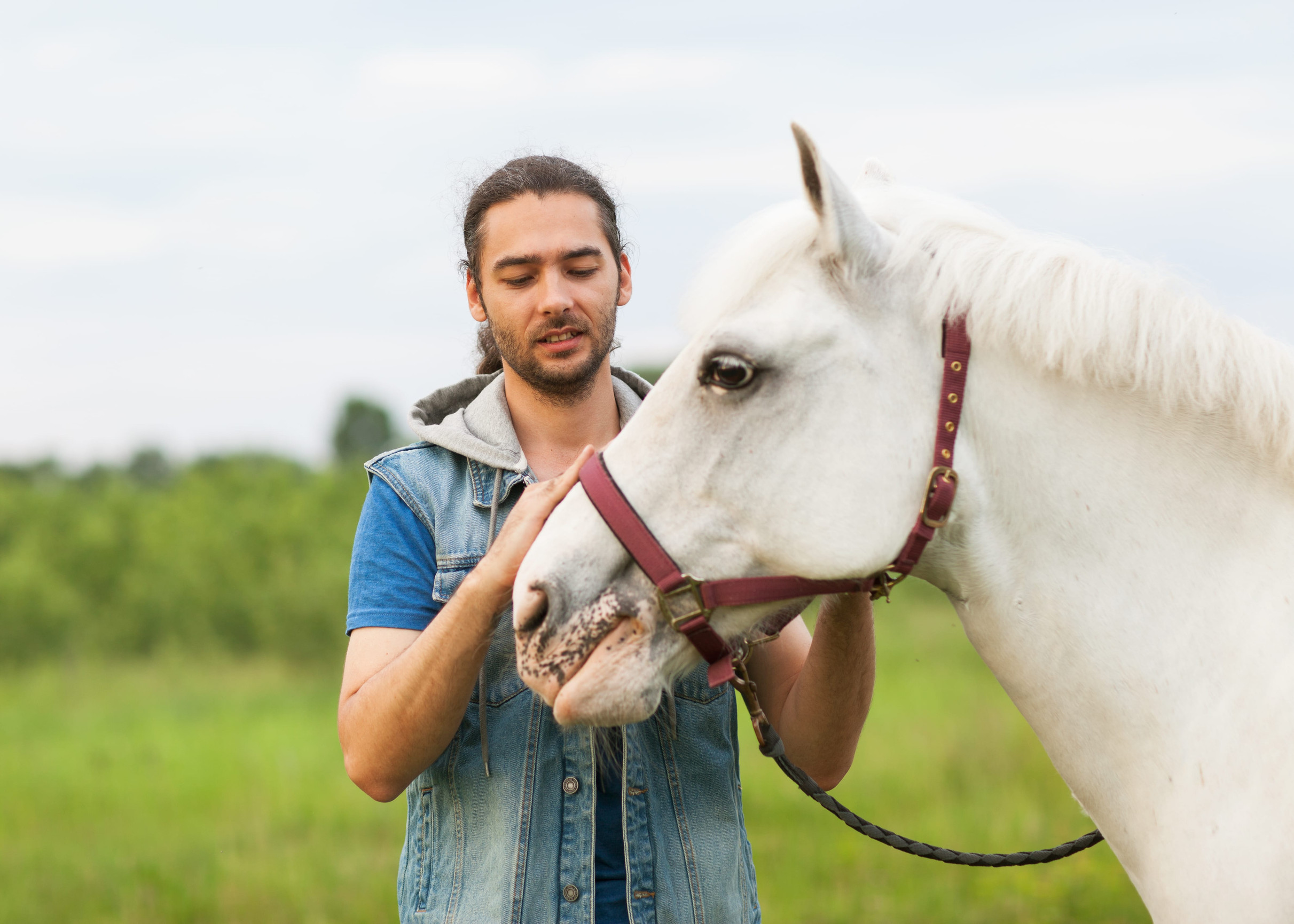 man holding a white horse in a meadow smiling